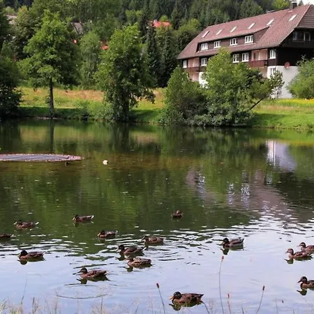 Am Stehlesee Apartment